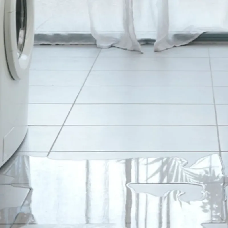 Appliance Leak Cleanup in White County, GA