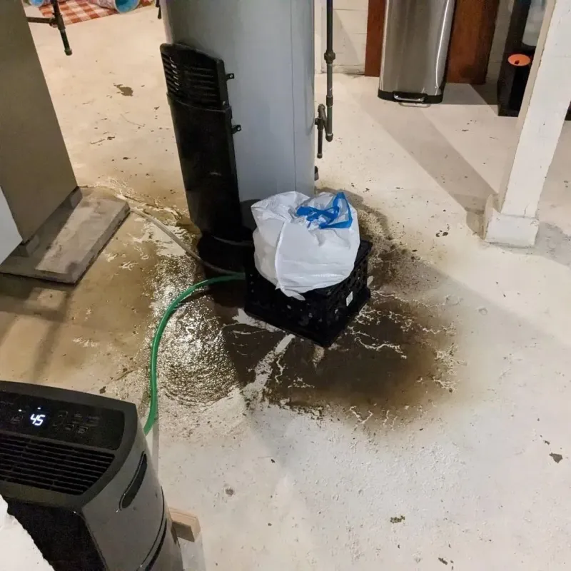 Sewage Backup Cleanup Service in White County, GA